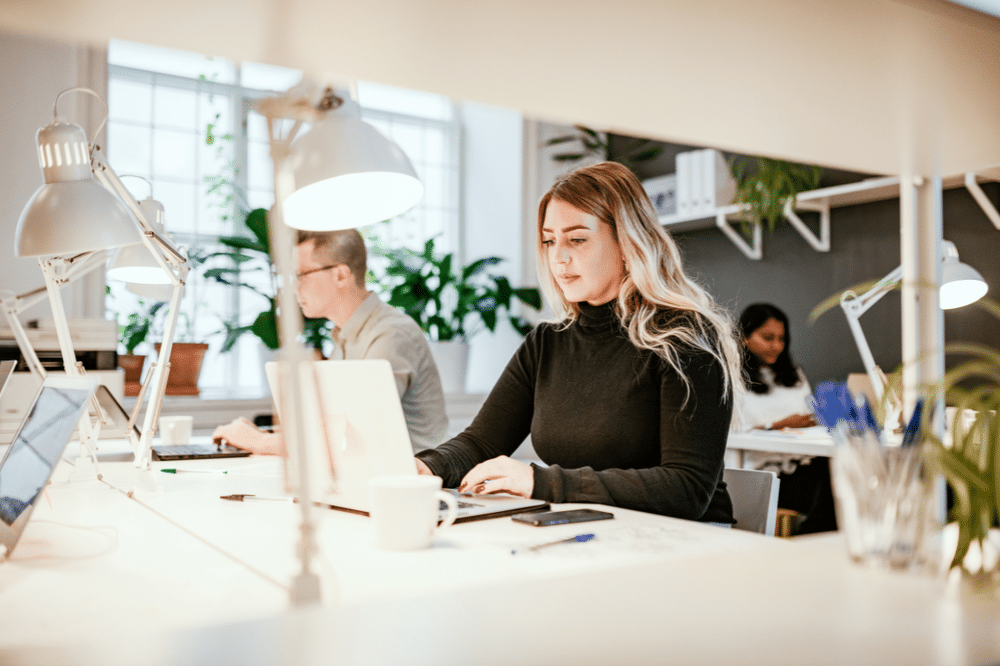 big job boards
